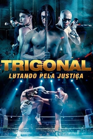 Image Trigonal: Lutando Pela Justiça