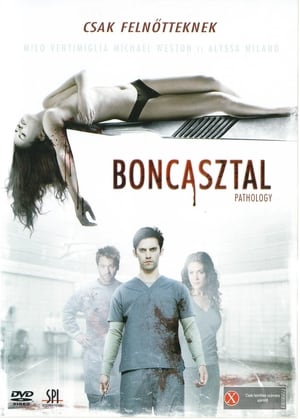 Poster Boncasztal 2008