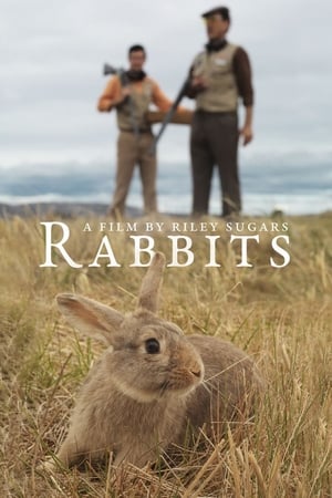 Image Rabbits