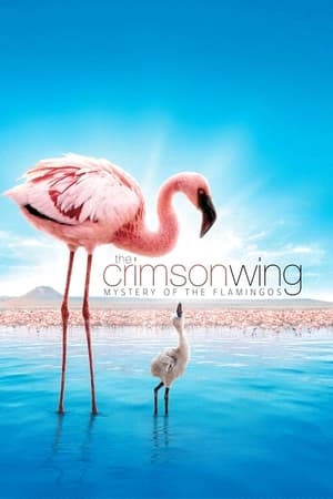 Poster The Crimson Wing: Mystery of the Flamingos 2008