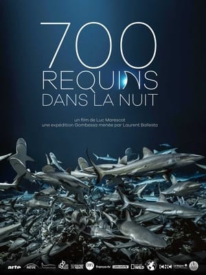 Poster 700 requins dans la nuit 2018