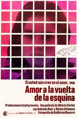 Poster Amor a la vuelta de la esquina 1986