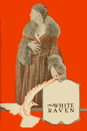 Poster The White Raven 1917