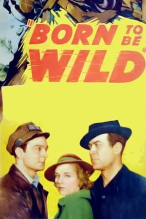 Poster Born to Be Wild 1938