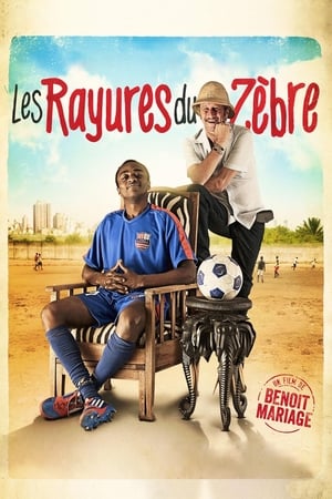 Poster Les Rayures du Zèbre 2014
