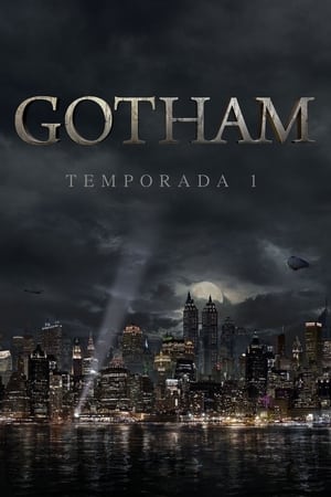 Poster Gotham Temporada 5: Leyenda del Caballero Oscuro Ace Chemicals 2019