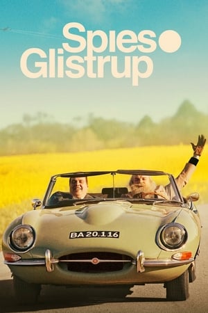 Poster Spies & Glistrup 2013