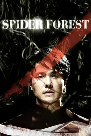 Poster Spider Forest 2004
