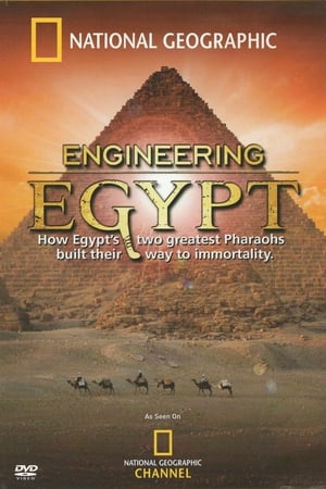 Poster Engineering Egypt 2007