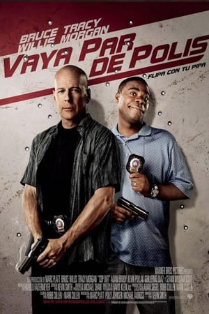 Poster Vaya par de polis 2010