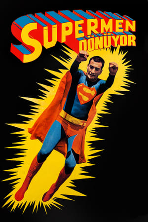 Poster Süpermen Dönüyor 1979