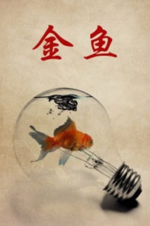 Poster Goldfish 1995