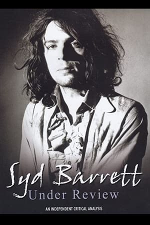 Image Syd Barrett: Under Review