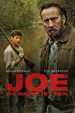 Poster Joe - Die Rache ist sein 2014