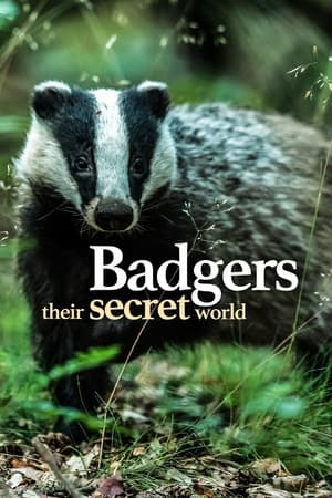 Image Badgers: Their Secret World