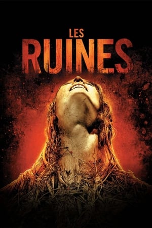 Poster Les Ruines 2008