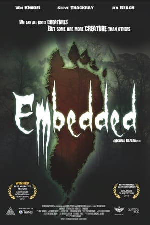 Poster Embedded 2013