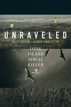 Poster Unraveled: The Long Island Serial Killer 2021