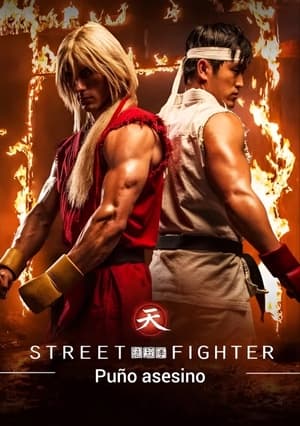 Poster Street Fighter: El puño del asesino Temporada 1 2014