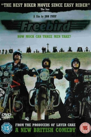 Poster Freebird 2008