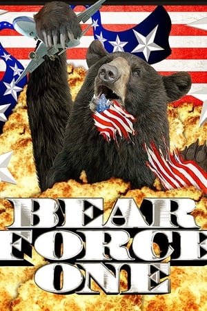 Poster Bear Force One 2010