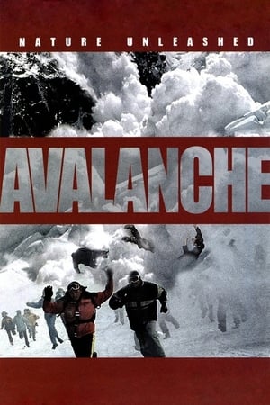 Poster Nature Unleashed:  Avalanche 2004