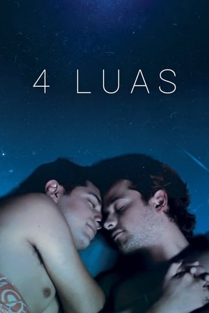 Poster Cuatro lunas 2014