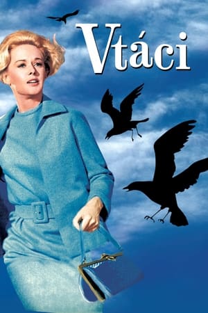 Poster Vtáci 1963