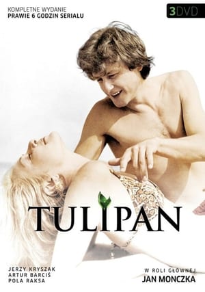 Poster Tulipan 1987