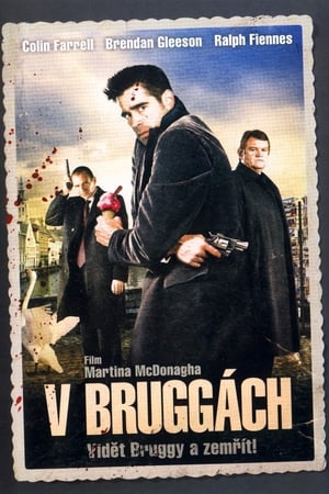 Poster V Bruggách 2008