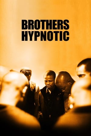 Poster Brothers Hypnotic 2014