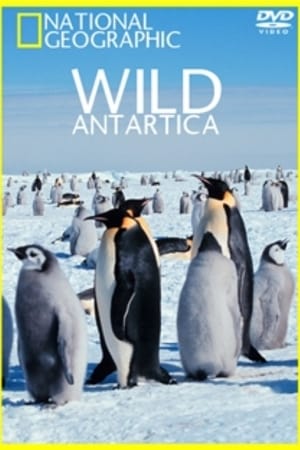 Poster Wild Antarctica 2015