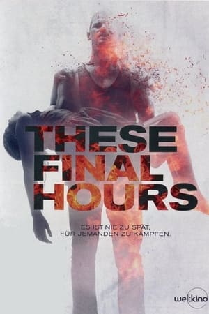 Poster These Final Hours 2014