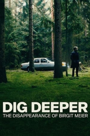 Poster Dig Deeper: Das Verschwinden von Birgit Meier 2021