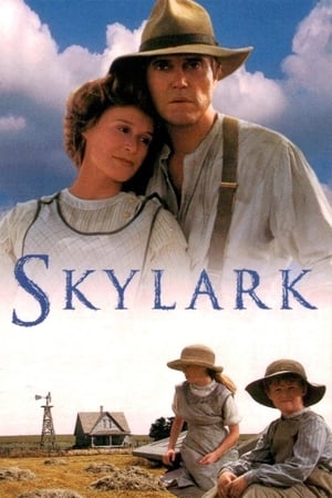 Poster Skylark 1993