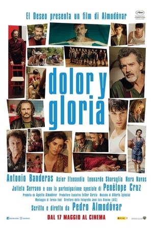 Poster Dolor y gloria 2019