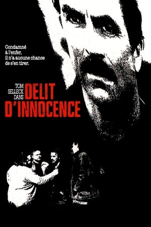 Poster Délit d'innocence 1989