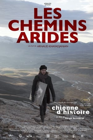 Poster Les Chemins arides 2015