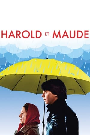 Poster Harold et Maude 1971