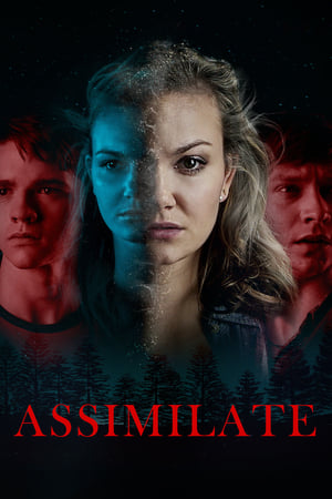 Poster Assimilate 2019