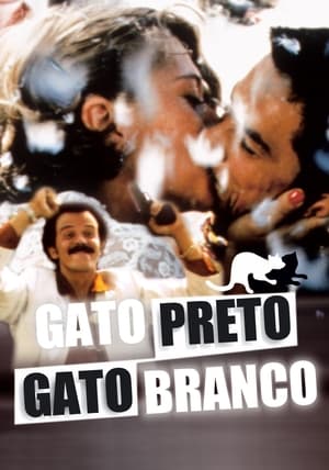 Poster Gato Preto, Gato Branco 1998