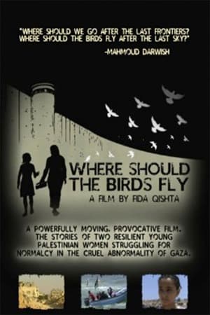 Poster Where Should the Birds Fly? 2013
