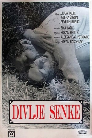 Poster Divlje seme 1967