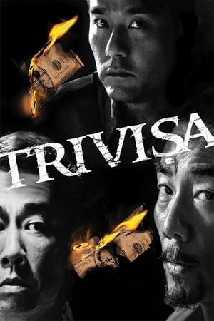 Poster Trivisa 2016