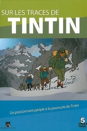 Image Sur les traces de Tintin