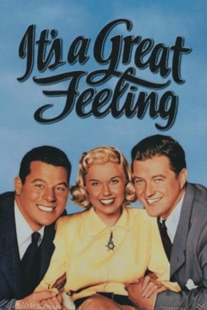 Poster It's a Great Feeling 1949