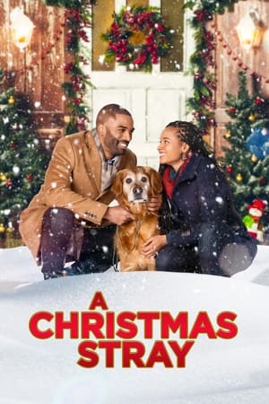Poster A Christmas Stray 2021