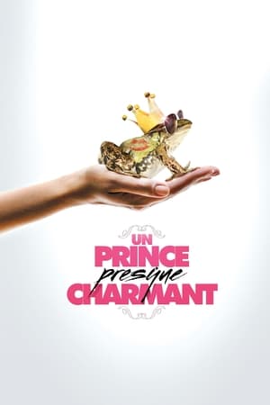 Poster Un Prince (presque) charmant 2013