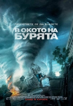 Poster В окото на бурята 2014