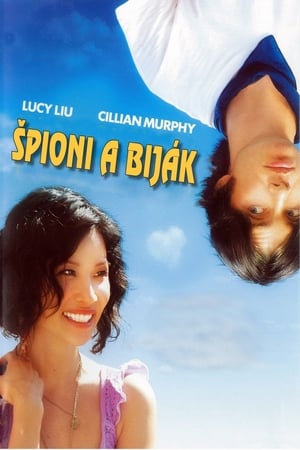 Poster Špioni a biják 2007